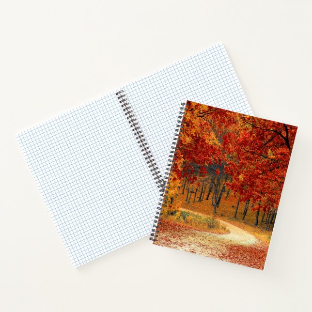 Herbst im Wald Notizbuch (Innenseite)
