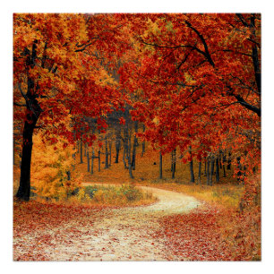 Herbst im Wald Poster