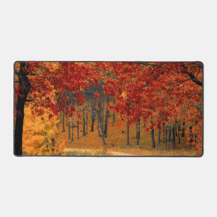 Herbst im Wald Schreibtischunterlage