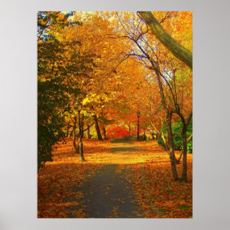 Herbst im Zentralpark 06 27 Poster