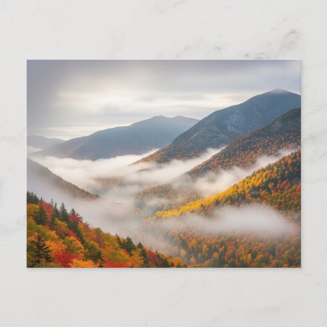 Herbst in Adirondack Postkarte (Vorderseite)