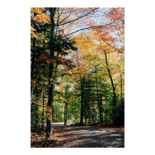 Herbst in Algonquin Park, Kanada Poster