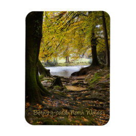 Herbst in Betws-y-coed, Nordwales Magnet