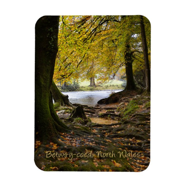 Herbst in Betws-y-coed, Nordwales Magnet (Vertikal)