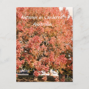 Herbst in Canberra, Australien Postkarte