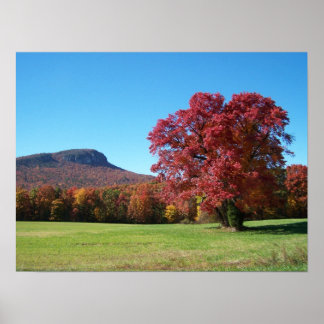Herbst in Danbury Poster