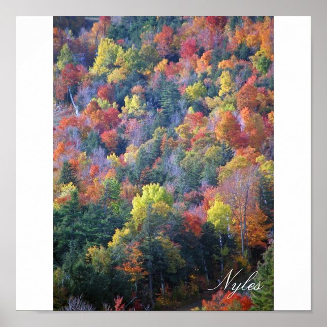 Herbst in den Adirondacks Poster (Vorne)
