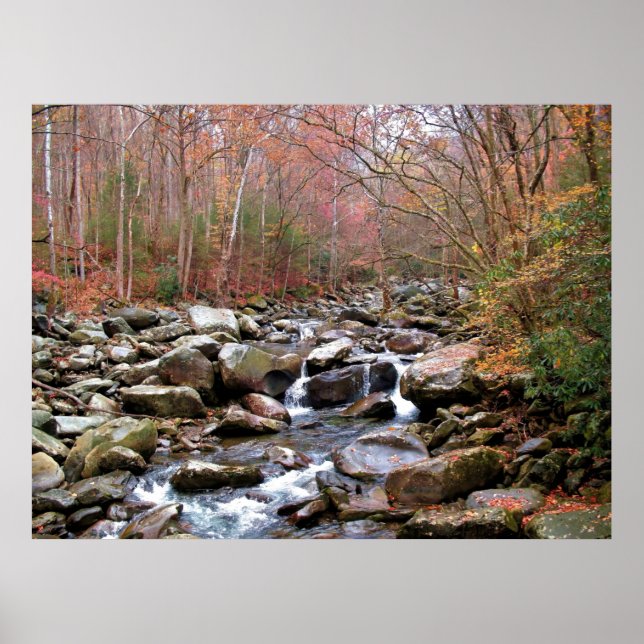 Herbst in den Smokies Poster (Vorne)