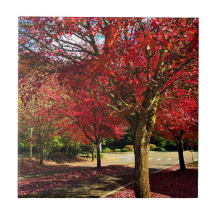 Herbst in der Nachbarschaft, Oregon Fliese