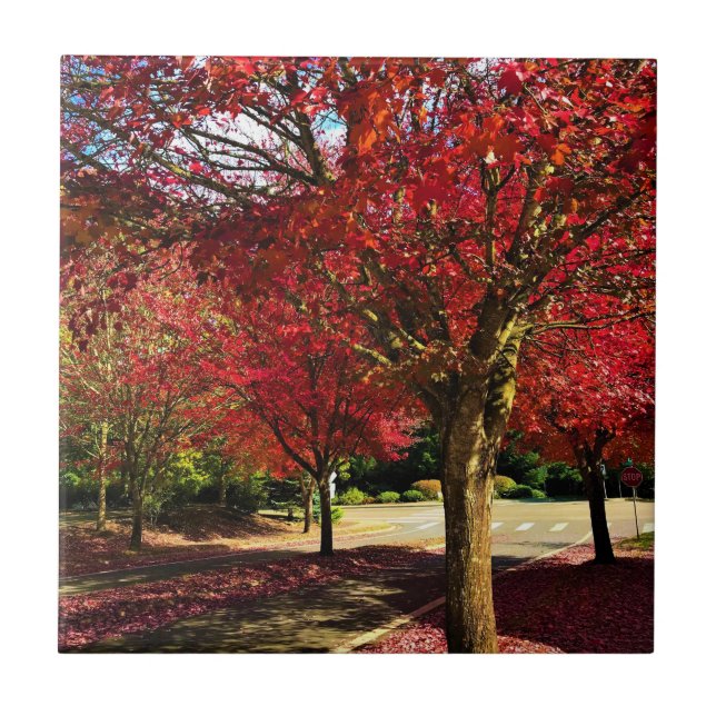 Herbst in der Nachbarschaft, Oregon Fliese (Vorderseite)