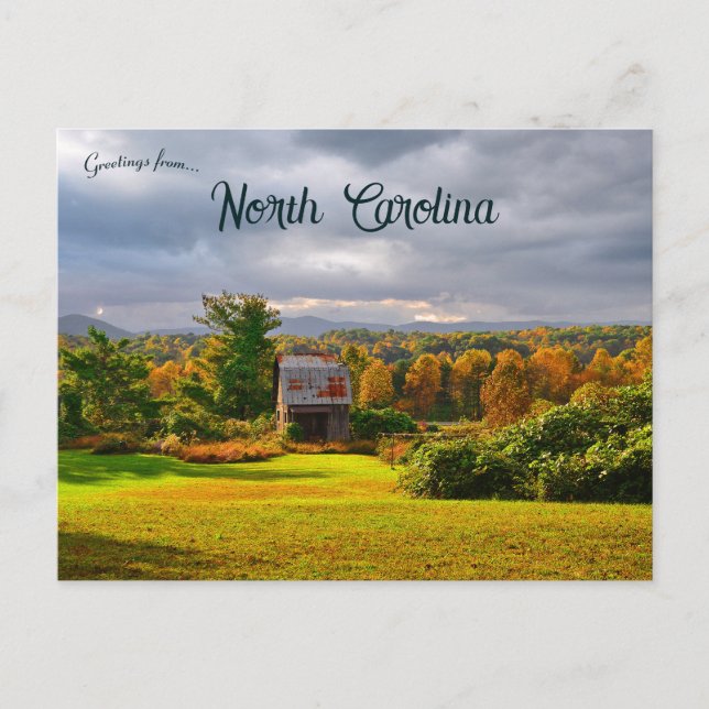 Herbst in der Nähe von Mt Airy North Carolina Postkarte (Vorderseite)