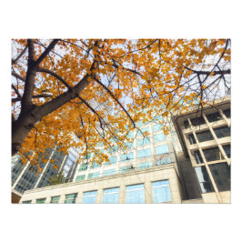 Herbst in der Stadt Fotodruck