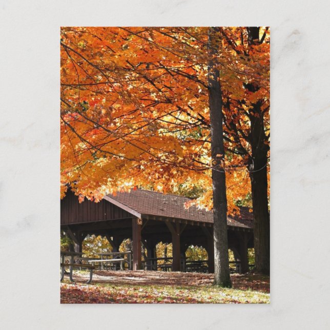 Herbst in einem Park Postkarte (Vorderseite)