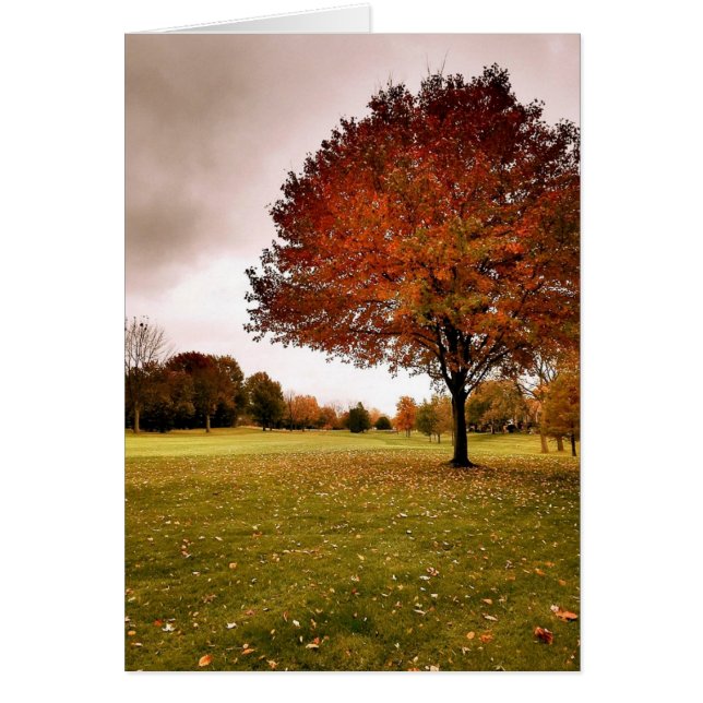 Herbst in Iowa (Vorne)