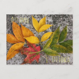 Herbst in Iowa Postkarte