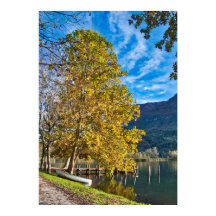 Herbst in Italien mit Baum und Schiff am See