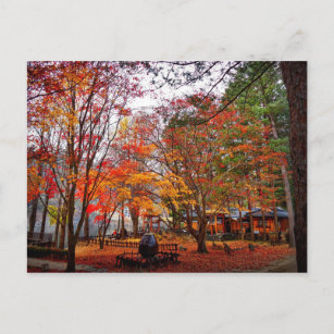 Herbst in Korea Postkarte