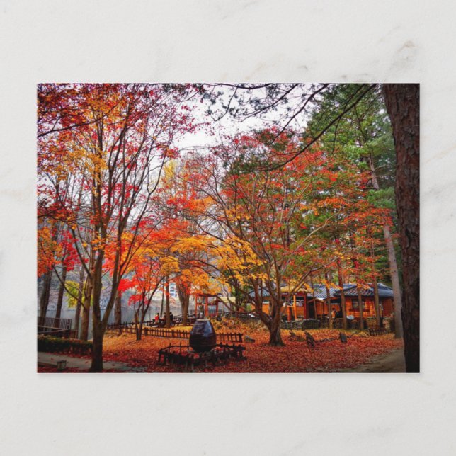 Herbst in Korea Postkarte (Vorderseite)