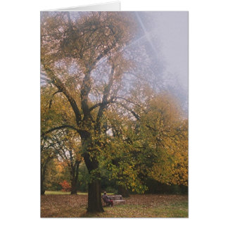 Herbst in Melbourne