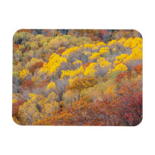 Herbst in Michigan Magnet