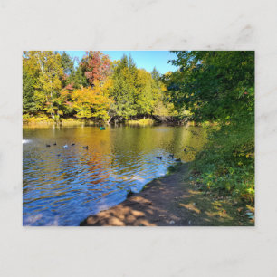 Herbst in Michigan Postkarte