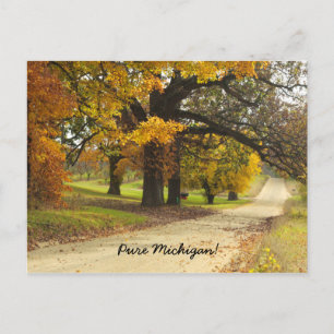 Herbst in Michigan Postkarte