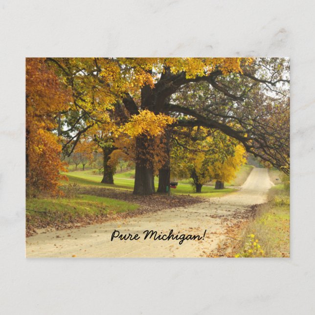 Herbst in Michigan Postkarte (Vorderseite)