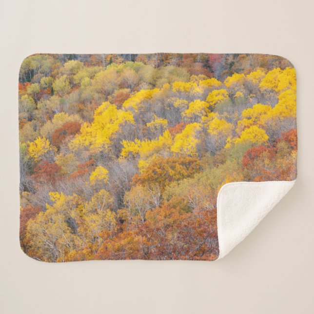 Herbst in Michigan Sherpadecke (Vorderseite (Horizontal))