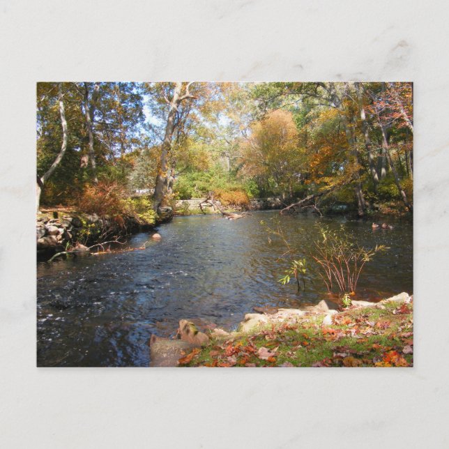 Herbst in Neuengland 5 ~ Postkarte (Vorderseite)