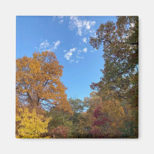 Herbst in New England Magnet