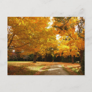 Herbst in New England Postkarte