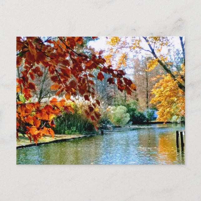 Herbst in North Carolina Postkarte (Vorderseite)