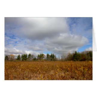 Herbst in Ohio
