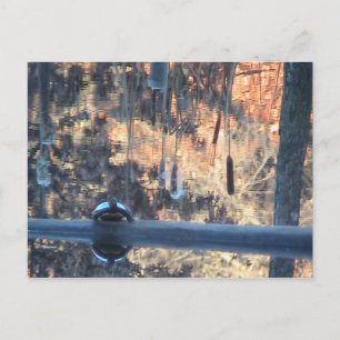 Herbst in Ohio Postkarte