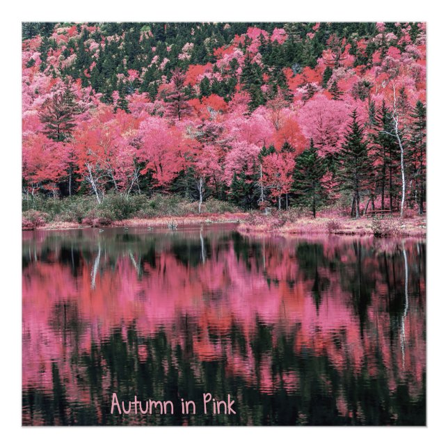 Herbst in Rosa Fotodruck (Vorne)
