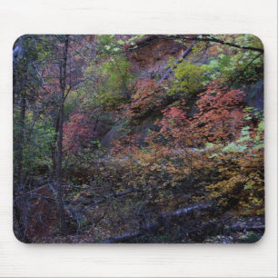 Herbst in Sedona Mousepad