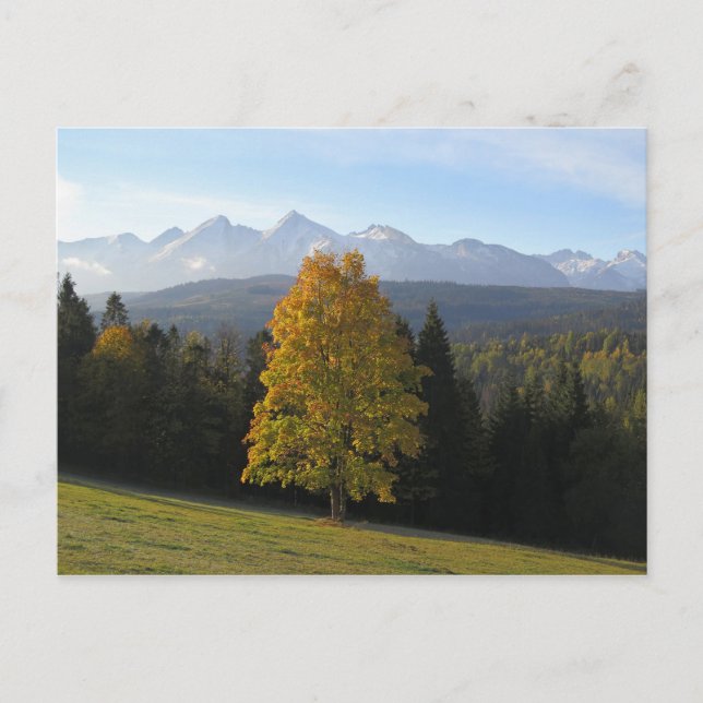 Herbst in Tatras Poster Postkarte (Vorderseite)