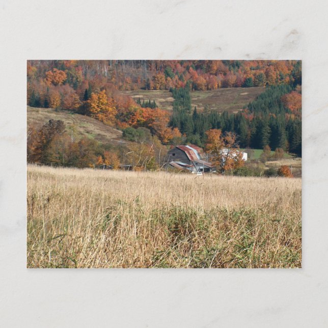 Herbst in Vermont Postkarte (Vorderseite)