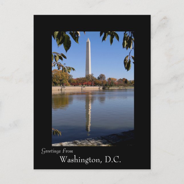 Herbst in Washington DC Postkarte (Vorderseite)