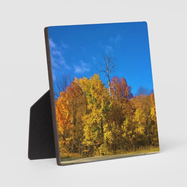 Herbst in Westbend, Wisconsin Fotoplatte (Vorderseite)
