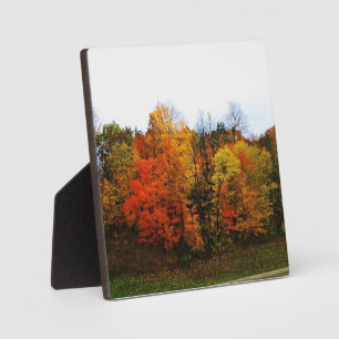 Herbst in Westbend, Wisconsin Fotoplatte