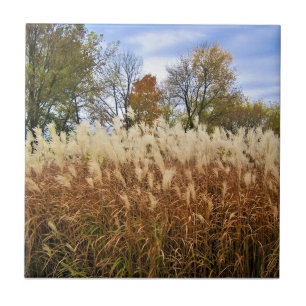 Herbst in Wisconsin Fliese
