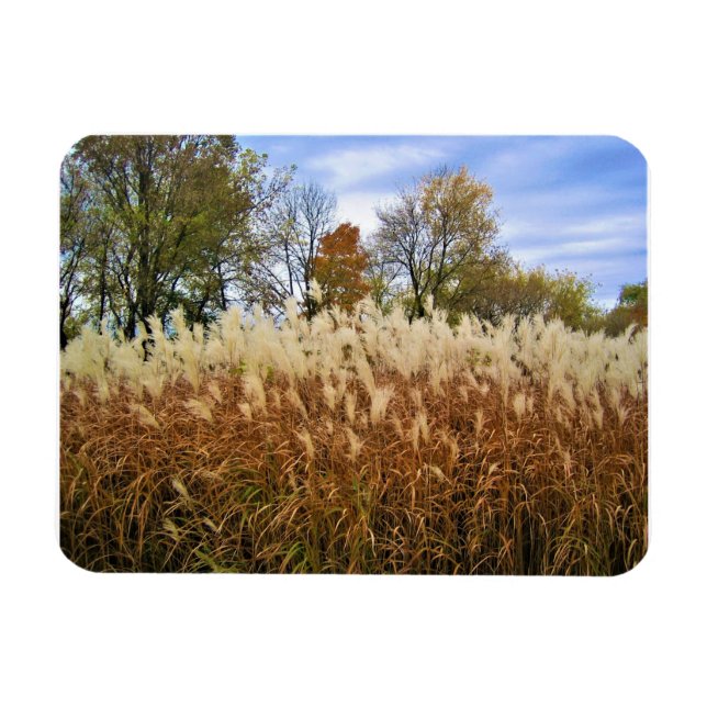 Herbst in Wisconsin Magnet (Horizontal)
