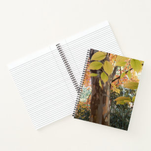 Herbst-Japanische-Stewartia-Baum-Blumen-Notizbuch Notizbuch