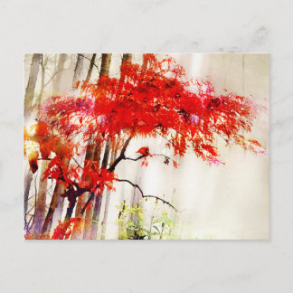 Herbst Kardinal, Japanische Rote Ahornbaum, Postka Postkarte
