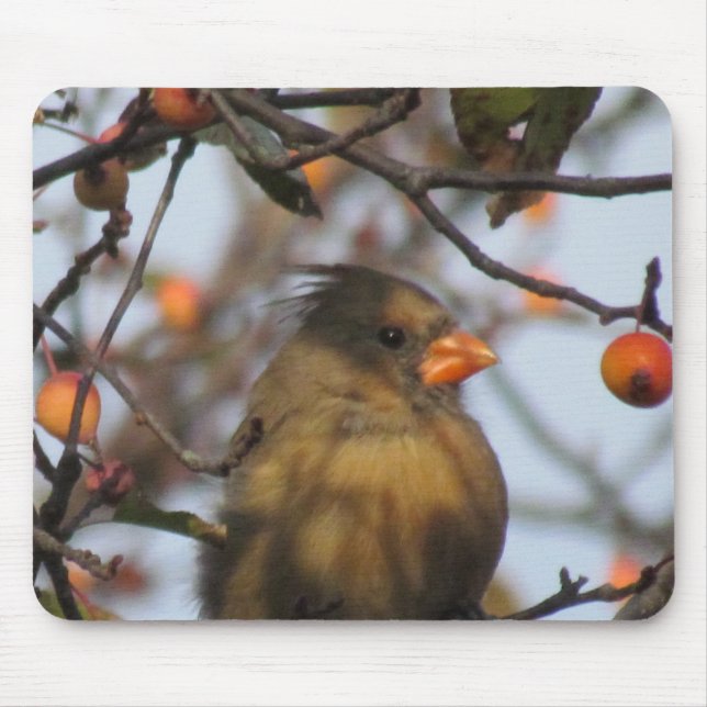 Herbst-Kardinal Mousepad (Vorne)