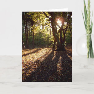 Herbst karte