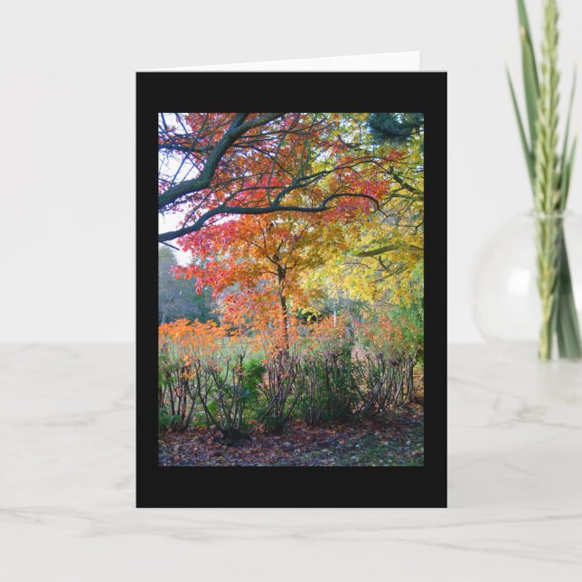 Herbst Karte (Vorderseite)