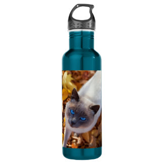 Herbst-Katze Trinkflasche