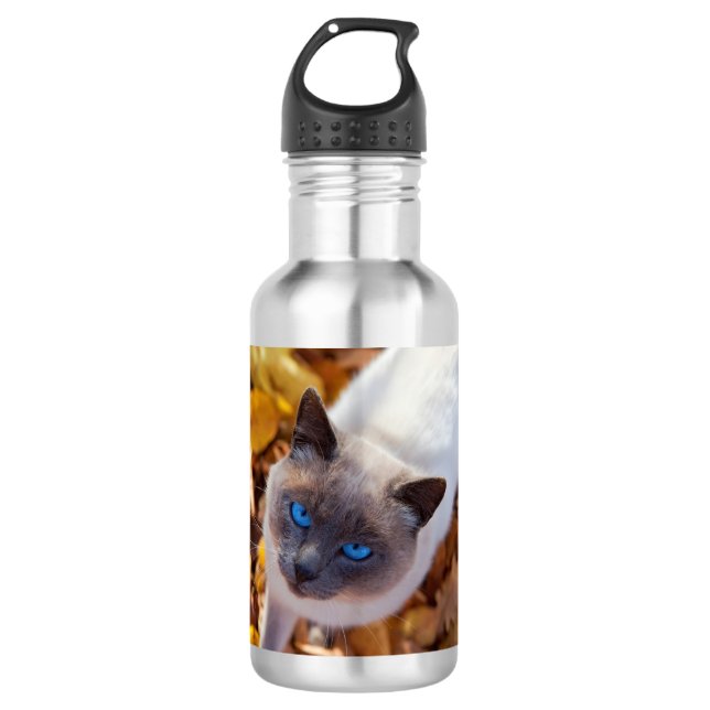 Herbst-Katze Trinkflasche (Vorderseite)
